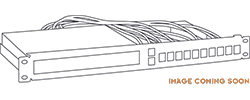 RM-CI-T20